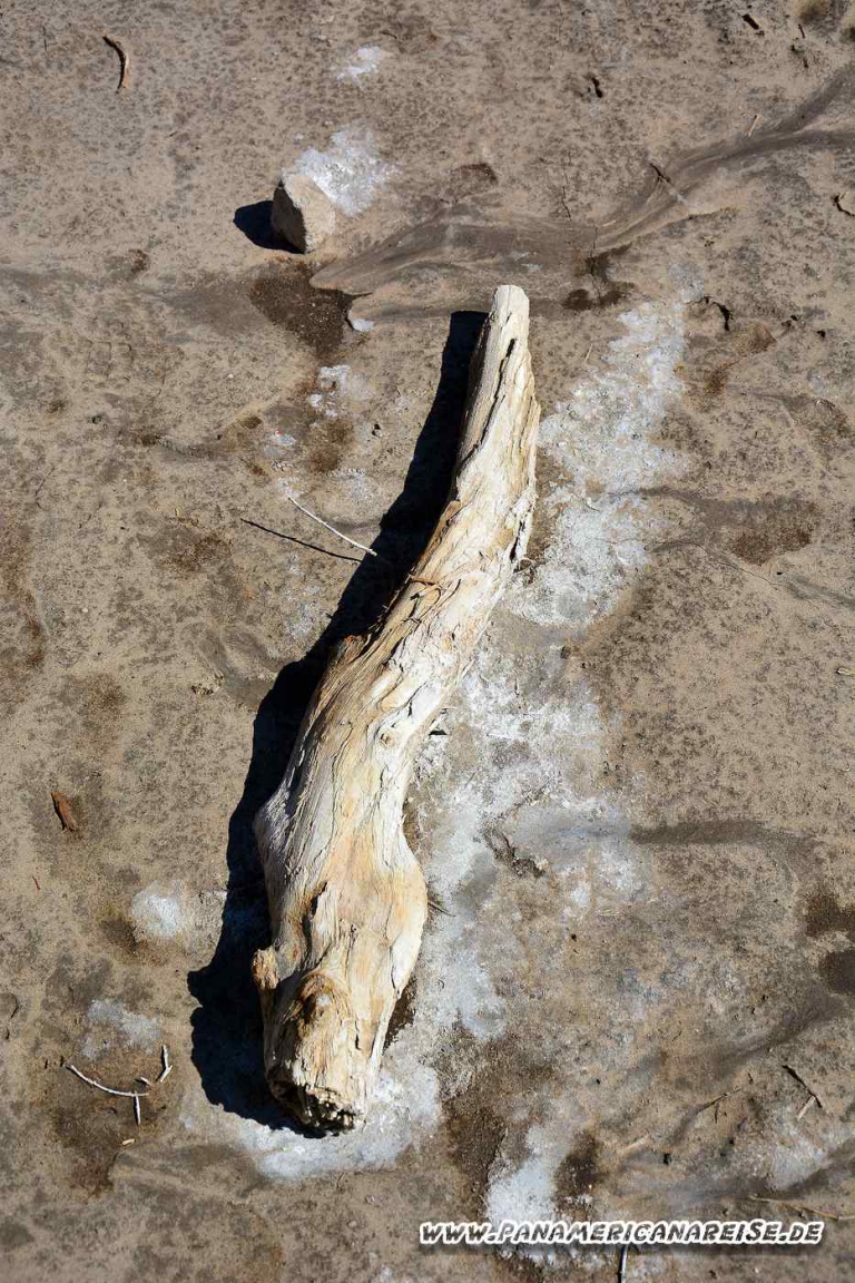 Lago Epecuen Carhue Argentinien