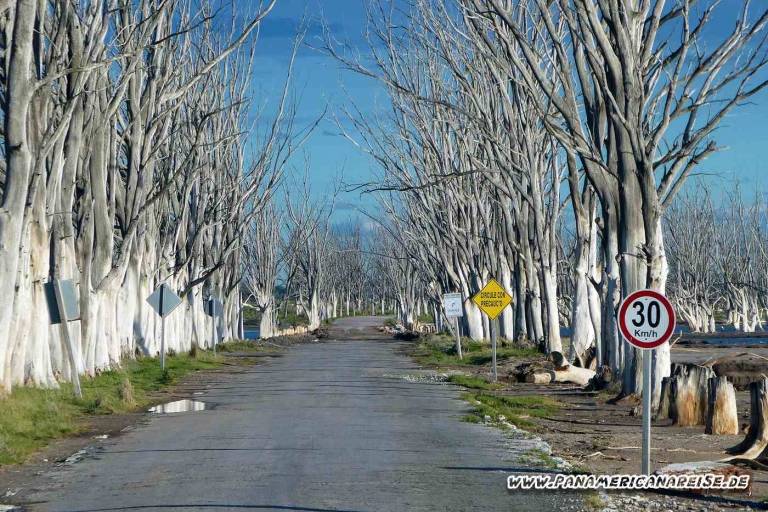 Lago Epecuen Carhue Argentinien