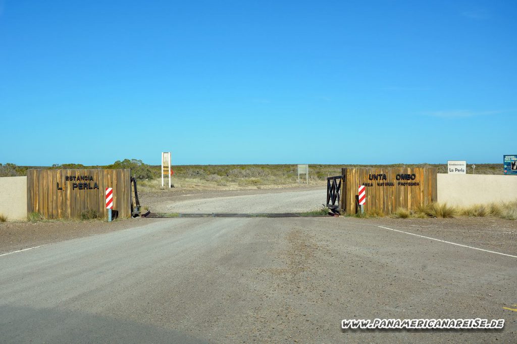 Punta Tombo Pinguinkolonie Argentinien