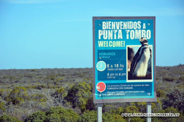 Punta Tombo Pinguinkolonie Argentinien