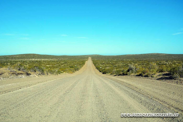Punta Tombo Pinguinkolonie Argentinien