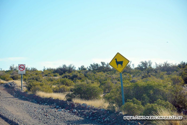 Punta Tombo Pinguinkolonie Argentinien