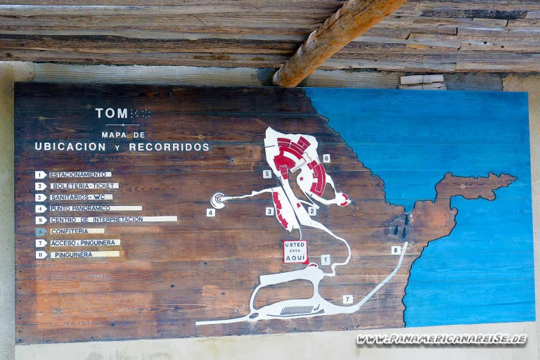 Punta Tombo Pinguinkolonie Argentinien