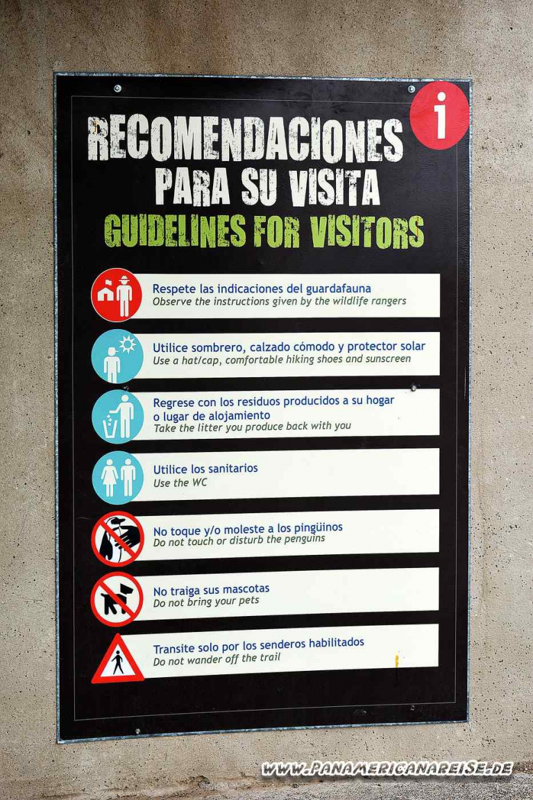 Punta Tombo Pinguinkolonie Argentinien