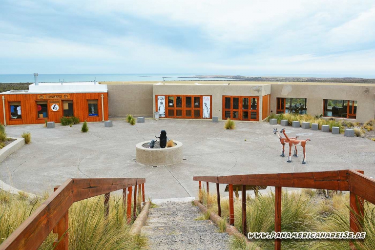 Punta Tombo Pinguinkolonie Argentinien