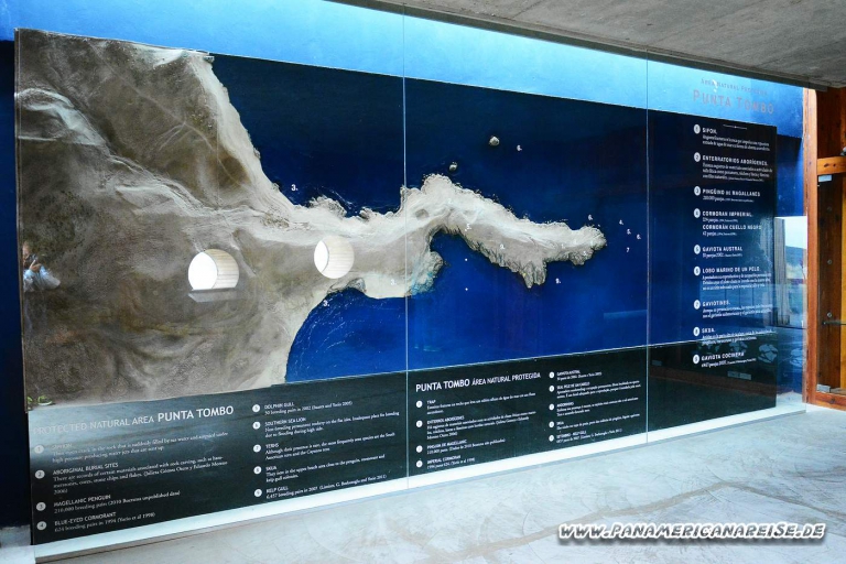 Punta Tombo Pinguinkolonie Argentinien