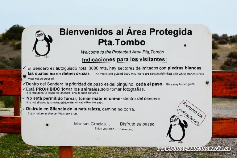 Punta Tombo Pinguinkolonie Argentinien