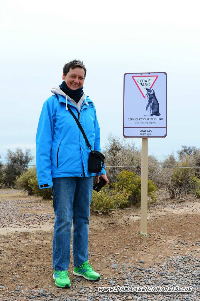 Punta Tombo Pinguinkolonie Argentinien