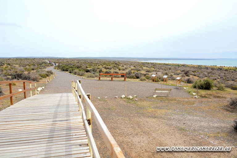 Punta Tombo Pinguinkolonie Argentinien