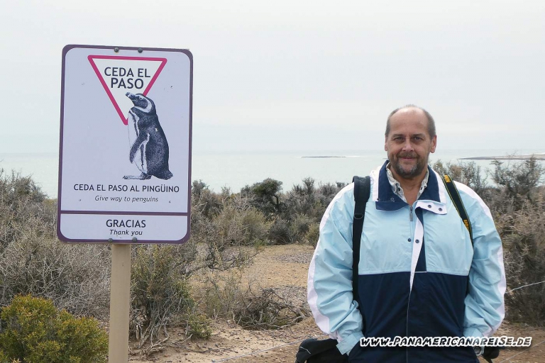 Punta Tombo Pinguinkolonie Argentinien