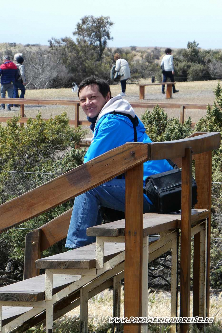Punta Tombo Pinguinkolonie Argentinien