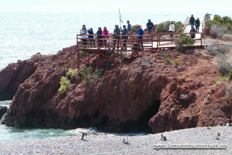 Punta Tombo Pinguinkolonie Argentinien