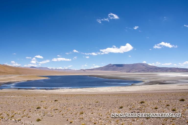 Paso Jama Argentina Chile